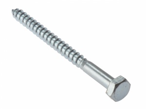 Coach Screws - 10 Pack